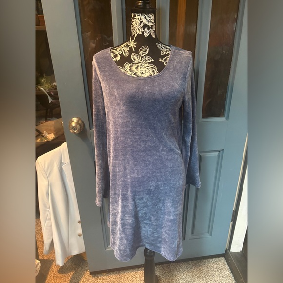 EARTHBOUND Soft Blue Velvet Long Sleeve Dress - Picture 3 of 7